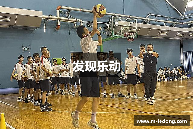 发现乐动